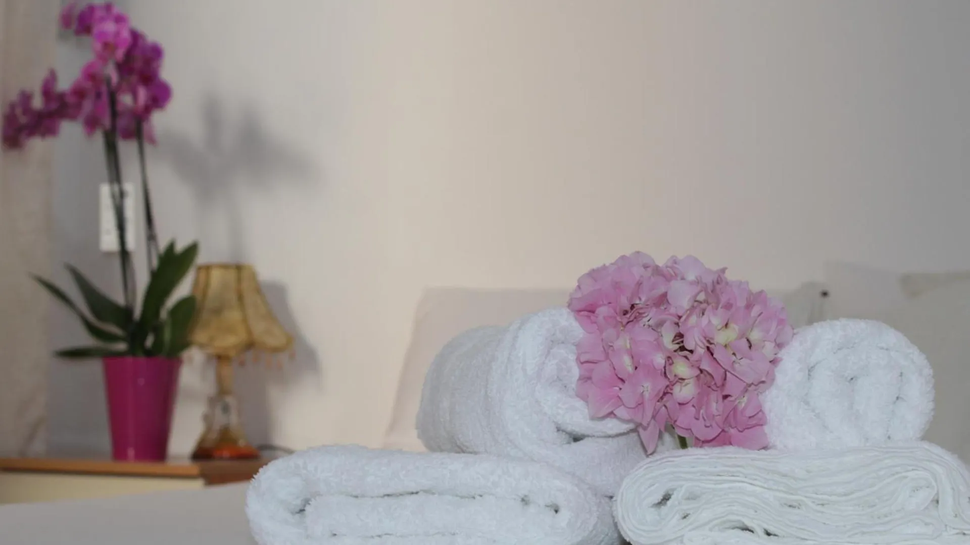 Studio Center Of City Sarande